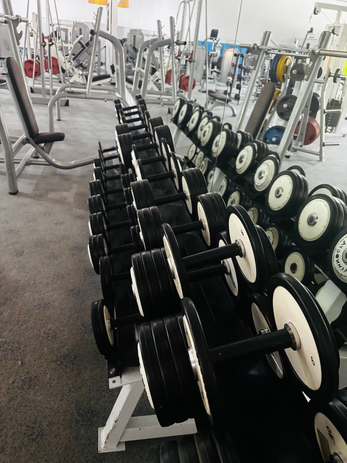 Freie Gewichte bei Fit Light in Amberg